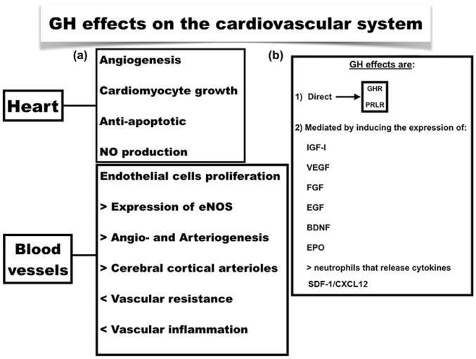 https://cdn.ncbi.nlm.nih.gov/pmc/blobs/9b7a/5933591/6a5db2ac7269/10.1177_1753944717745494-fig3.jpg