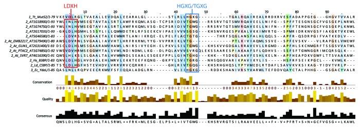 https://cdn.ncbi.nlm.nih.gov/pmc/blobs/9b7c/3858433/d65b44cceb2c/rna-10-1501-g3.jpg