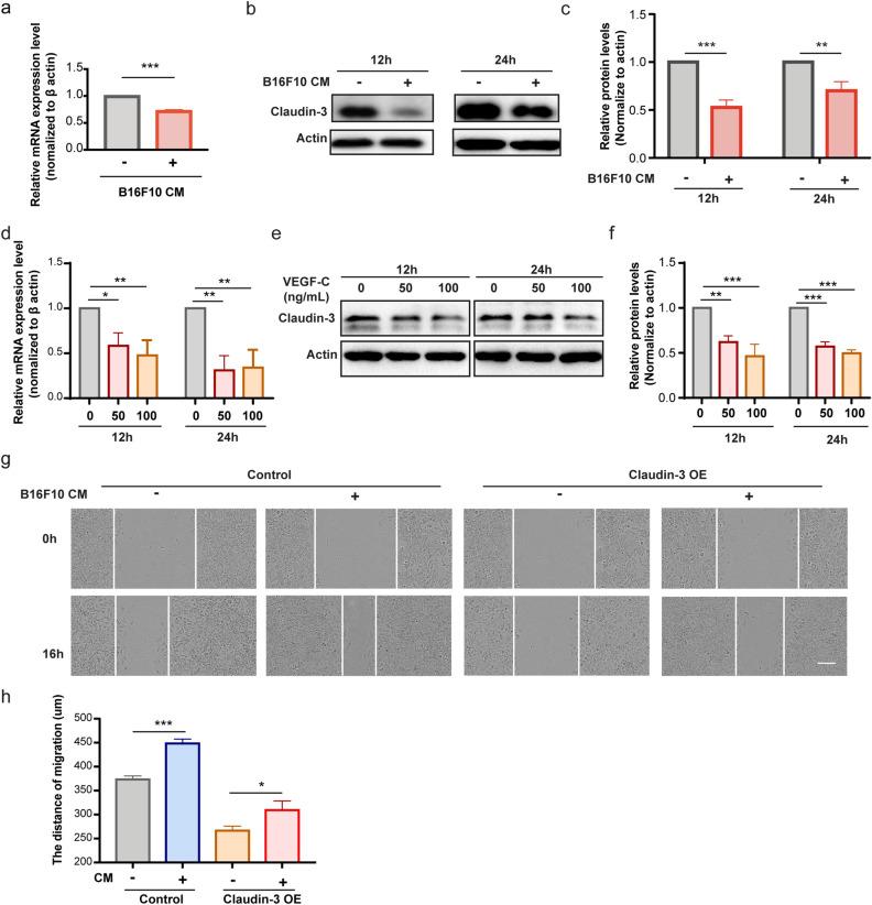 https://cdn.ncbi.nlm.nih.gov/pmc/blobs/9b7c/9581975/1e8e1ba161e1/41598_2022_22156_Fig6_HTML.jpg