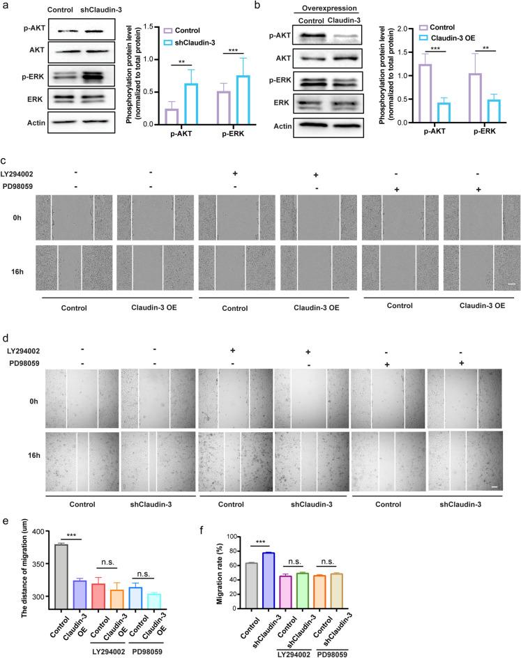 https://cdn.ncbi.nlm.nih.gov/pmc/blobs/9b7c/9581975/540e3dcd3fbb/41598_2022_22156_Fig5_HTML.jpg
