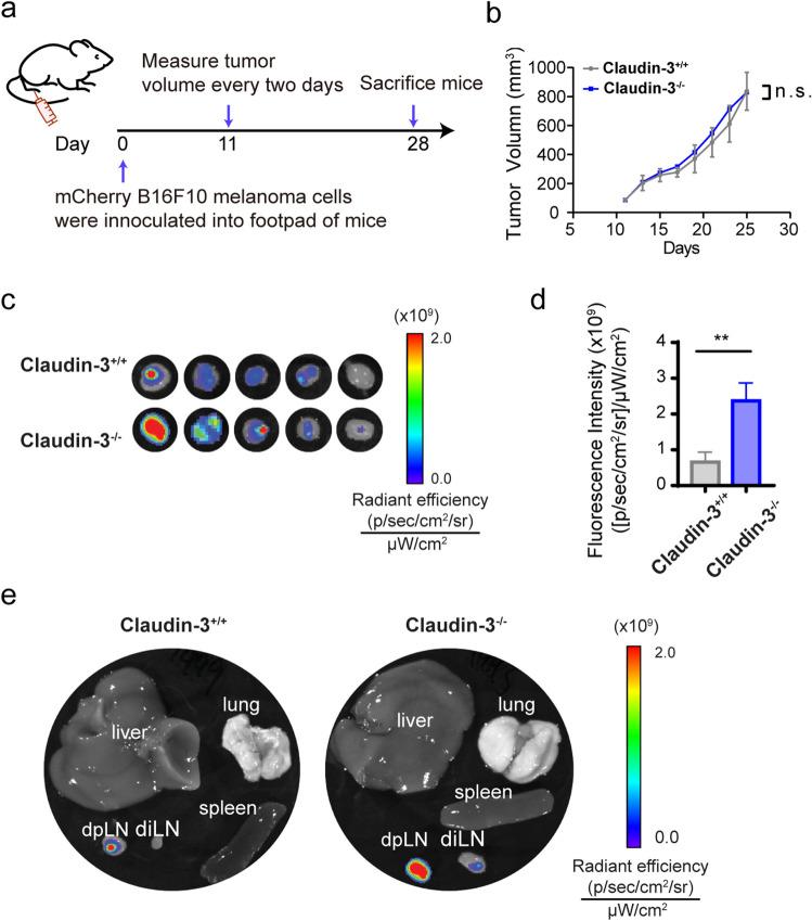https://cdn.ncbi.nlm.nih.gov/pmc/blobs/9b7c/9581975/7f67c3e7e573/41598_2022_22156_Fig1_HTML.jpg