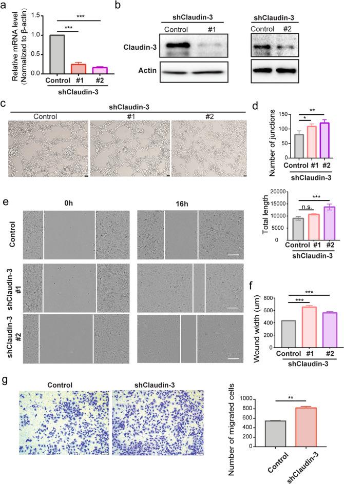 https://cdn.ncbi.nlm.nih.gov/pmc/blobs/9b7c/9581975/8157d2a56ebc/41598_2022_22156_Fig3_HTML.jpg