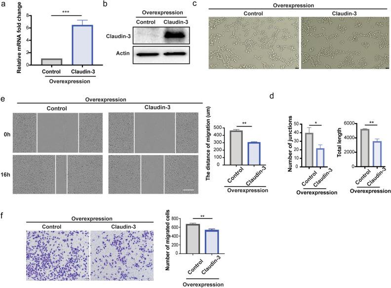 https://cdn.ncbi.nlm.nih.gov/pmc/blobs/9b7c/9581975/86fb855637be/41598_2022_22156_Fig4_HTML.jpg