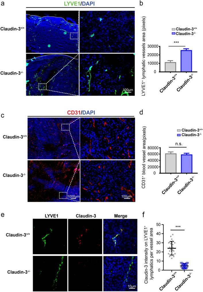 https://cdn.ncbi.nlm.nih.gov/pmc/blobs/9b7c/9581975/ab9ff388ae53/41598_2022_22156_Fig2_HTML.jpg