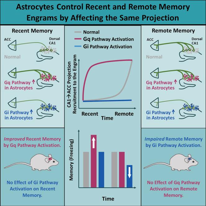 https://cdn.ncbi.nlm.nih.gov/pmc/blobs/9b81/10995765/c48355a0e895/fx1.jpg