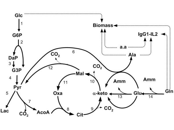 https://cdn.ncbi.nlm.nih.gov/pmc/blobs/9b81/1800868/3b914ba19d69/1471-2105-8-30-3.jpg