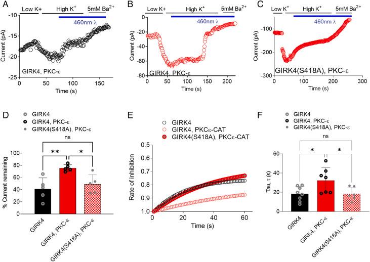 https://cdn.ncbi.nlm.nih.gov/pmc/blobs/9b82/9910474/ce46e01c48fe/pnas.2212325120fig06.jpg