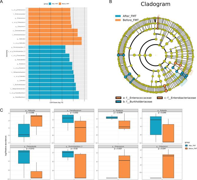 https://cdn.ncbi.nlm.nih.gov/pmc/blobs/9b83/12079832/0f42716d53c5/13099_2025_705_Fig4_HTML.jpg