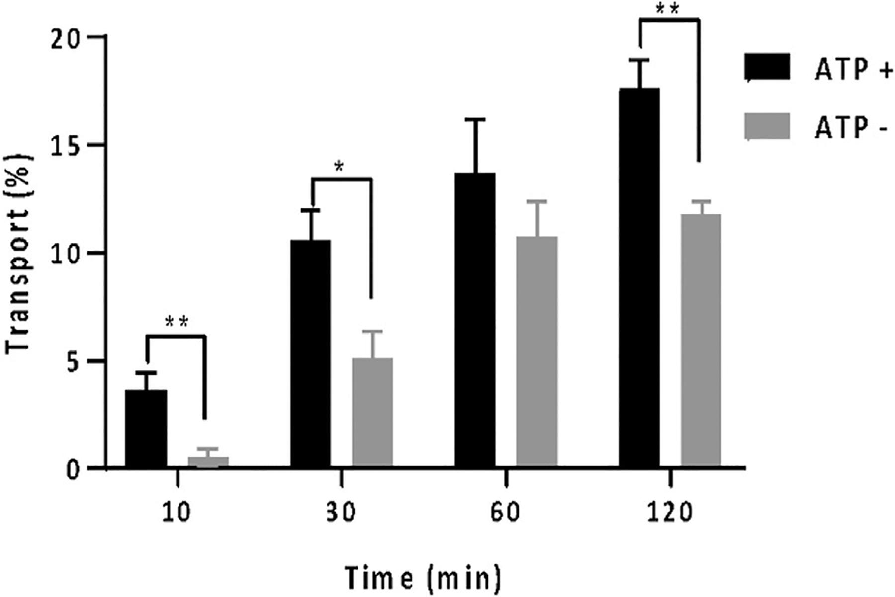 https://cdn.ncbi.nlm.nih.gov/pmc/blobs/9b86/11027885/f520824c5075/nihms-1983518-f0002.jpg