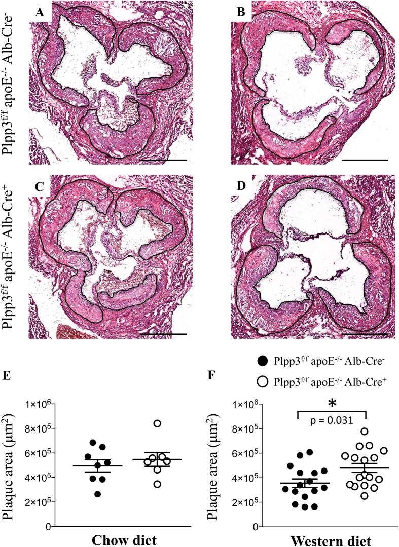 https://cdn.ncbi.nlm.nih.gov/pmc/blobs/9b88/5349609/79c08cea942f/srep44503-f2.jpg