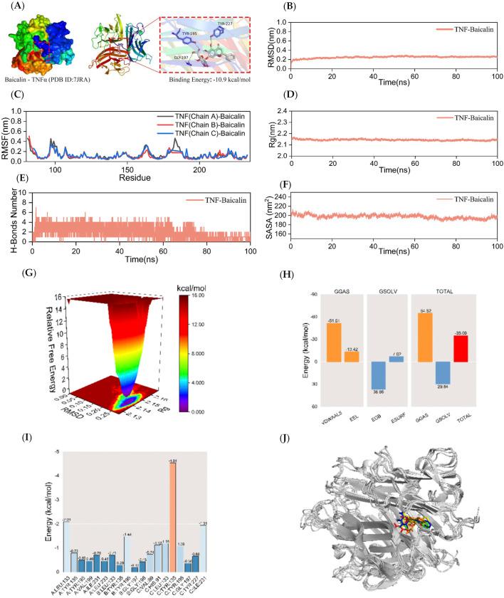 https://cdn.ncbi.nlm.nih.gov/pmc/blobs/9b8c/12066697/0210e80c0e88/fphar-16-1530056-g005.jpg