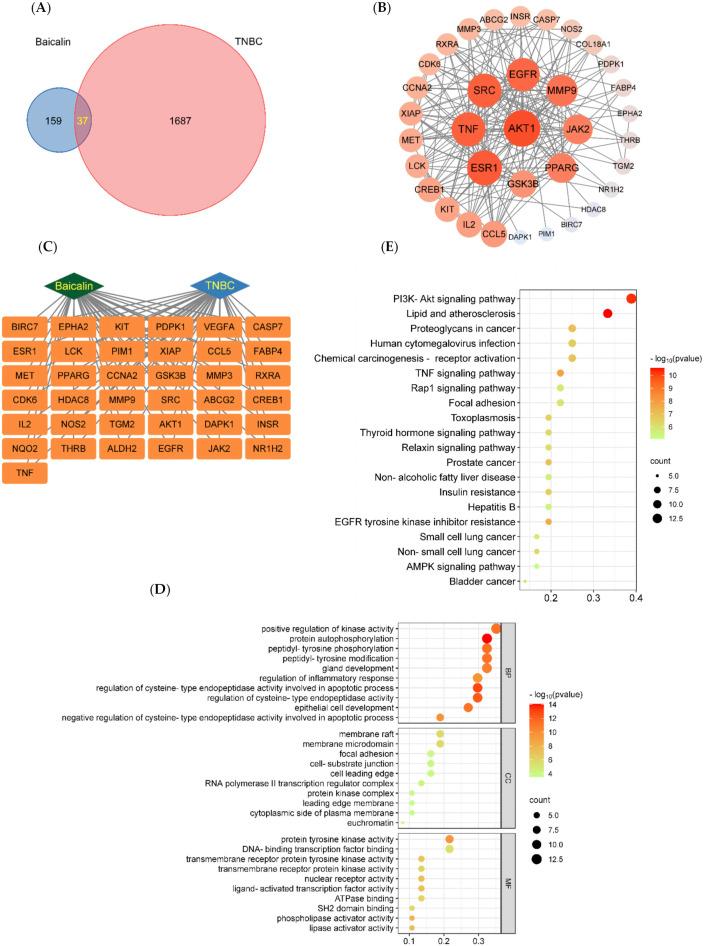 https://cdn.ncbi.nlm.nih.gov/pmc/blobs/9b8c/12066697/3a06d9476285/fphar-16-1530056-g002.jpg