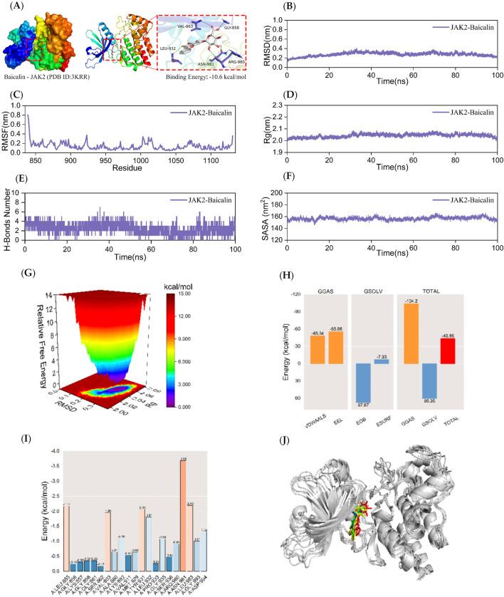 https://cdn.ncbi.nlm.nih.gov/pmc/blobs/9b8c/12066697/9cce699fff10/fphar-16-1530056-g003.jpg