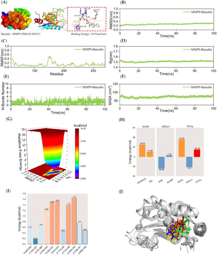 https://cdn.ncbi.nlm.nih.gov/pmc/blobs/9b8c/12066697/c5b4d5b64a44/fphar-16-1530056-g004.jpg