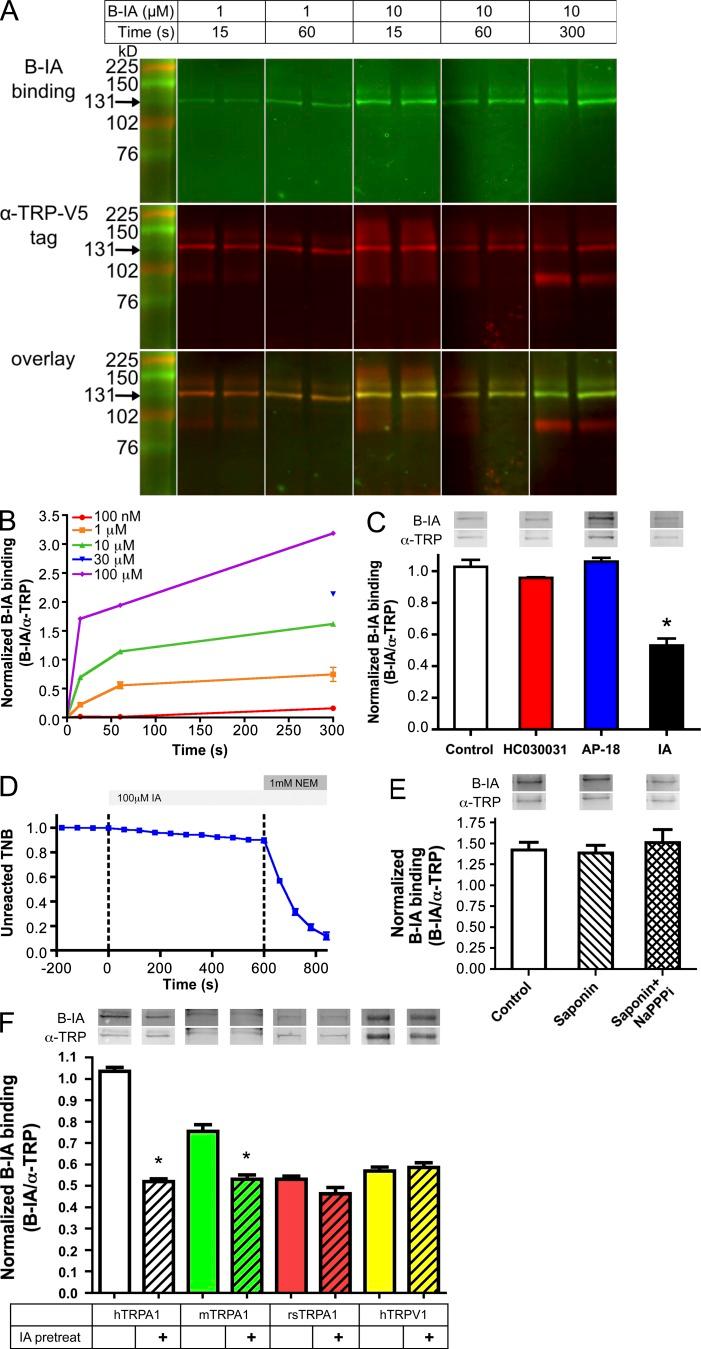 https://cdn.ncbi.nlm.nih.gov/pmc/blobs/9b8e/4886278/2fd7a6101f4d/JGP_201611581_Fig3.jpg