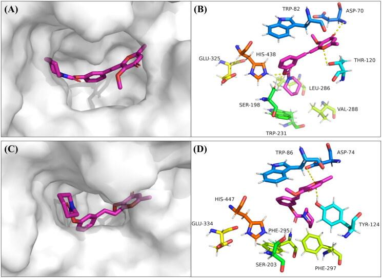 https://cdn.ncbi.nlm.nih.gov/pmc/blobs/9b8f/10878344/cf779bfb7c2d/IENZ_A_2313682_F0004_C.jpg