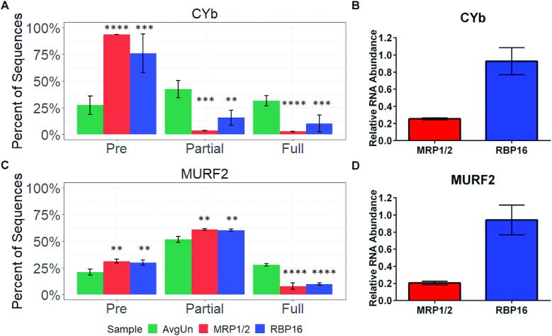 https://cdn.ncbi.nlm.nih.gov/pmc/blobs/9b8f/6468165/1c0e2f67ac12/gkz012fig4.jpg