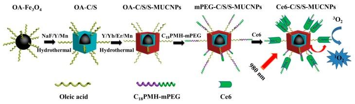 https://cdn.ncbi.nlm.nih.gov/pmc/blobs/9b90/6070927/5398d84dbb46/nanomaterials-08-00466-sch001.jpg