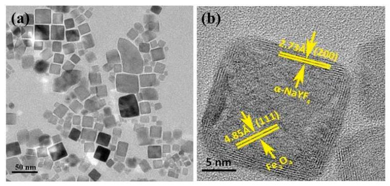 https://cdn.ncbi.nlm.nih.gov/pmc/blobs/9b90/6070927/996f0944357e/nanomaterials-08-00466-g003.jpg