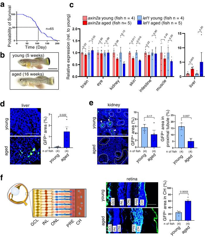 https://cdn.ncbi.nlm.nih.gov/pmc/blobs/9b91/11059364/0437b101c0df/41514_2024_149_Fig3_HTML.jpg