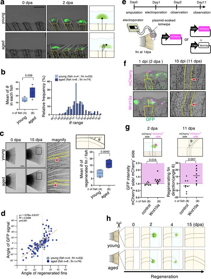 https://cdn.ncbi.nlm.nih.gov/pmc/blobs/9b91/11059364/cd63345b013e/41514_2024_149_Fig5_HTML.jpg