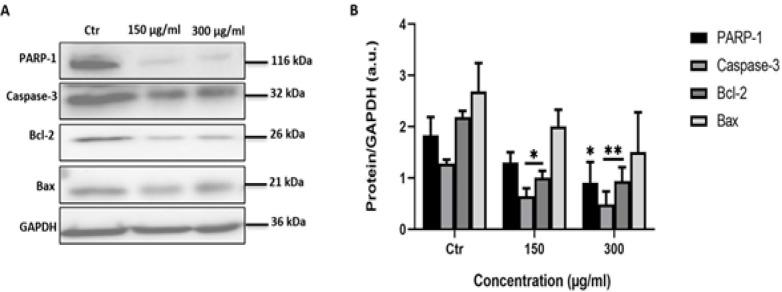 https://cdn.ncbi.nlm.nih.gov/pmc/blobs/9b98/7798177/fc4ba42ca916/APJCP-21-2993-g007.jpg