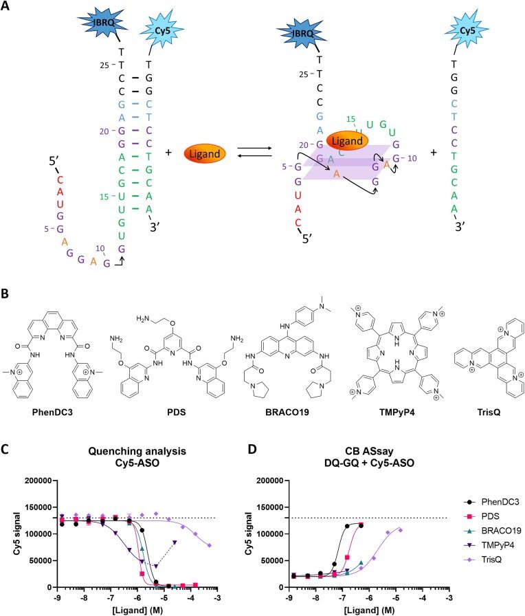 https://cdn.ncbi.nlm.nih.gov/pmc/blobs/9b99/12397912/9f42f3a2df36/gkaf819fig7.jpg