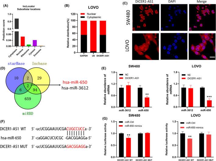 https://cdn.ncbi.nlm.nih.gov/pmc/blobs/9b9a/10134332/4dfef2e82895/CAM4-12-8351-g001.jpg