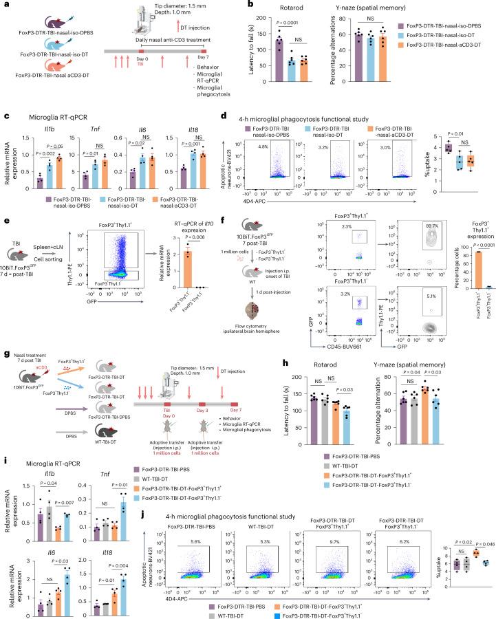 https://cdn.ncbi.nlm.nih.gov/pmc/blobs/9b9a/11893472/040388f45490/41593_2025_1877_Fig7_HTML.jpg