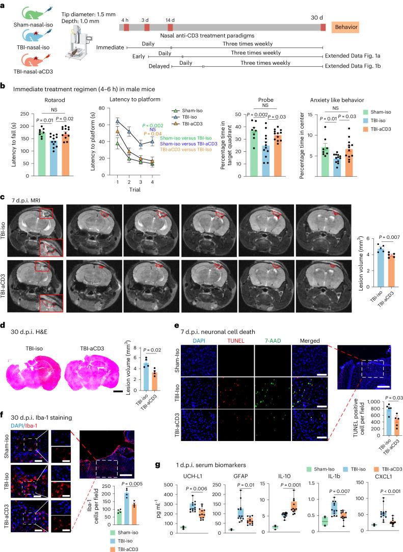 https://cdn.ncbi.nlm.nih.gov/pmc/blobs/9b9a/11893472/2a56b98e47d1/41593_2025_1877_Fig1_HTML.jpg