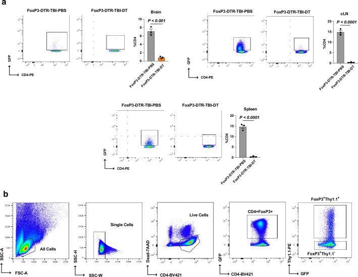 https://cdn.ncbi.nlm.nih.gov/pmc/blobs/9b9a/11893472/53611f816478/41593_2025_1877_Fig17_ESM.jpg