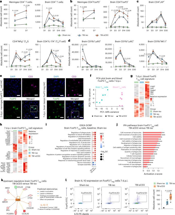 https://cdn.ncbi.nlm.nih.gov/pmc/blobs/9b9a/11893472/620744fa8b9b/41593_2025_1877_Fig2_HTML.jpg