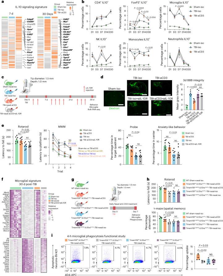https://cdn.ncbi.nlm.nih.gov/pmc/blobs/9b9a/11893472/750c6bcf60ad/41593_2025_1877_Fig5_HTML.jpg