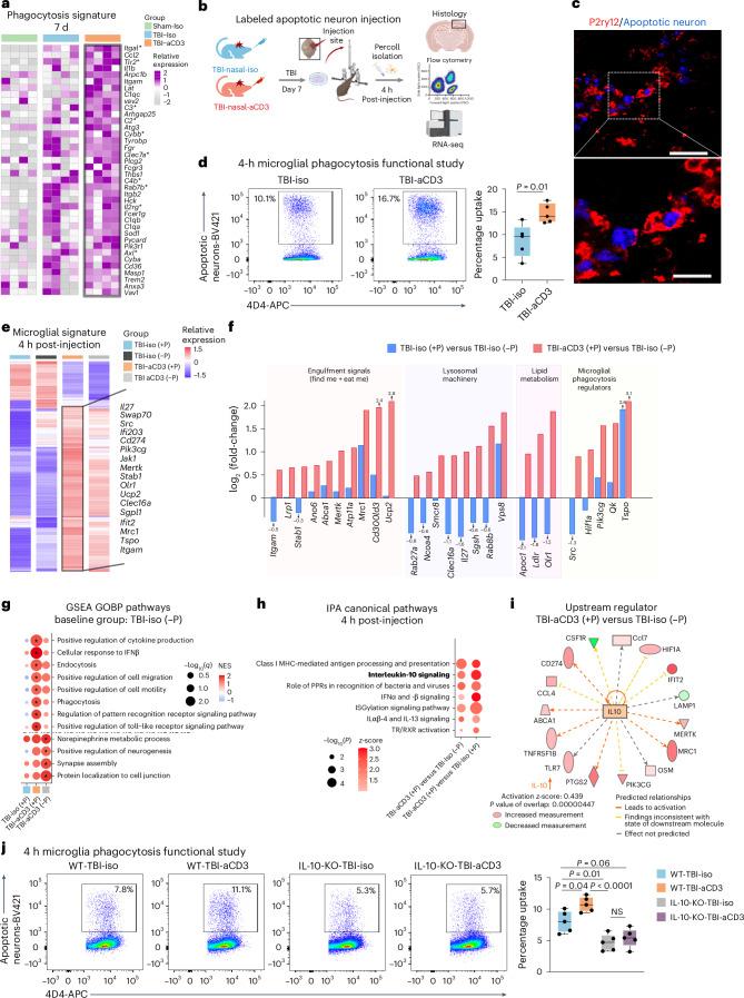 https://cdn.ncbi.nlm.nih.gov/pmc/blobs/9b9a/11893472/98153758c616/41593_2025_1877_Fig4_HTML.jpg