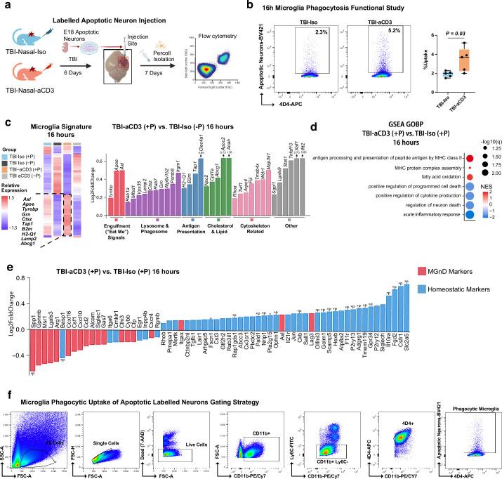 https://cdn.ncbi.nlm.nih.gov/pmc/blobs/9b9a/11893472/9e125db97f39/41593_2025_1877_Fig14_ESM.jpg