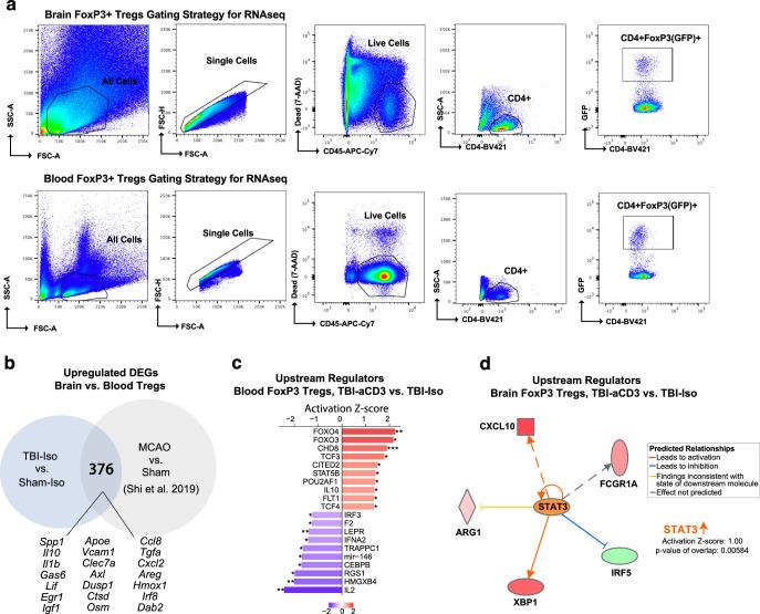 https://cdn.ncbi.nlm.nih.gov/pmc/blobs/9b9a/11893472/e3520b9663ed/41593_2025_1877_Fig12_ESM.jpg