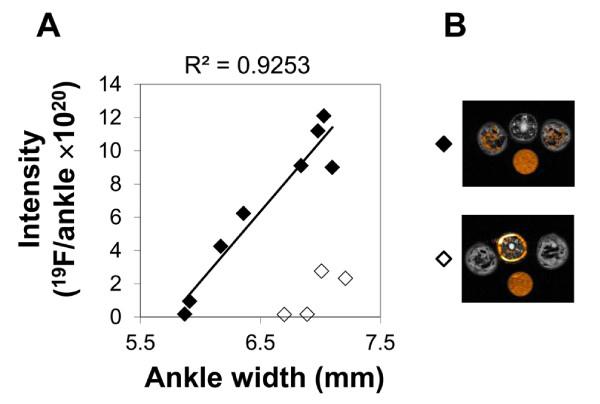 https://cdn.ncbi.nlm.nih.gov/pmc/blobs/9b9c/3506445/36244d2b2448/1476-9255-9-24-4.jpg