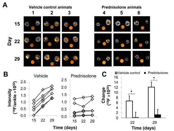 https://cdn.ncbi.nlm.nih.gov/pmc/blobs/9b9c/3506445/ca19fb5c2bbb/1476-9255-9-24-5.jpg