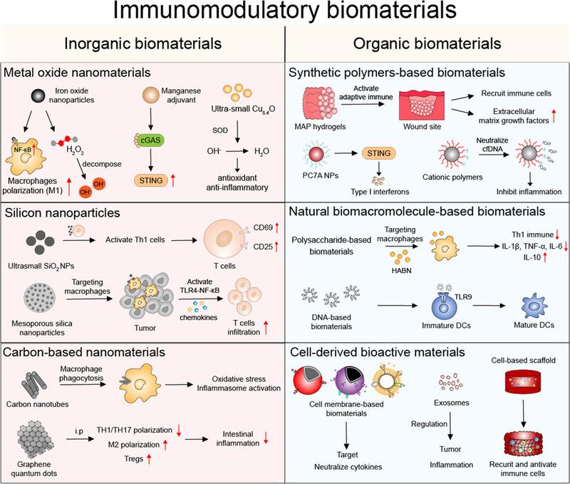 https://cdn.ncbi.nlm.nih.gov/pmc/blobs/9b9e/10191059/19e0086ccc2e/EXP2-2-20210157-g001.jpg