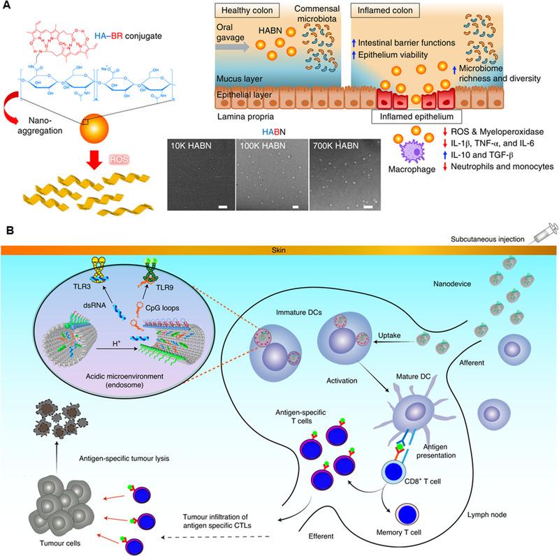 https://cdn.ncbi.nlm.nih.gov/pmc/blobs/9b9e/10191059/48918ef5db81/EXP2-2-20210157-g005.jpg