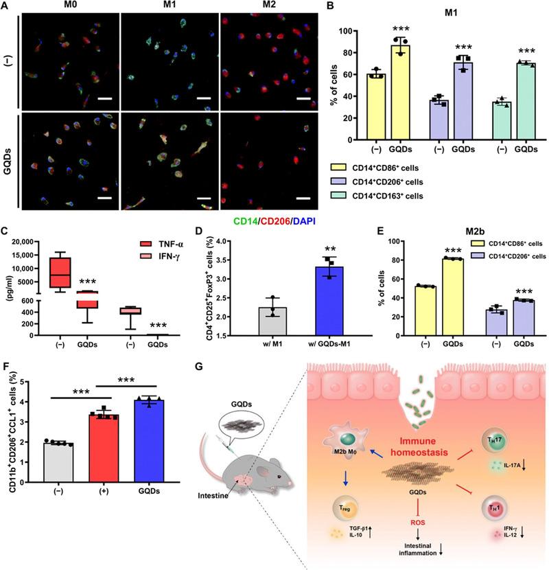 https://cdn.ncbi.nlm.nih.gov/pmc/blobs/9b9e/10191059/7a77f1170a13/EXP2-2-20210157-g004.jpg