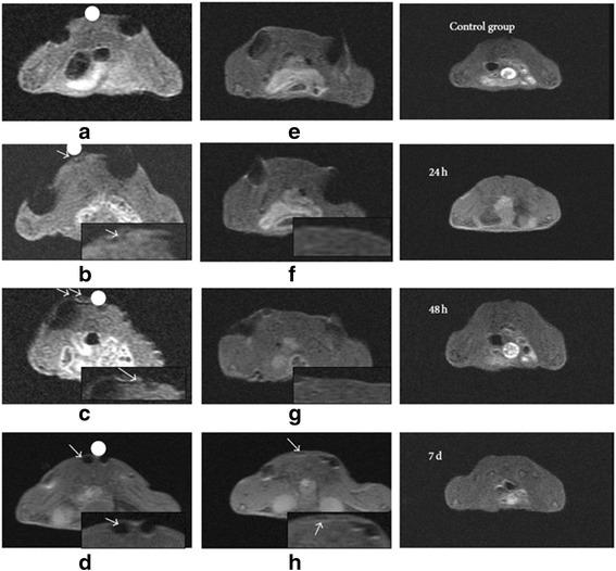 https://cdn.ncbi.nlm.nih.gov/pmc/blobs/9b9e/5446710/6f5fbcd1deb3/12860_2017_140_Fig4_HTML.jpg
