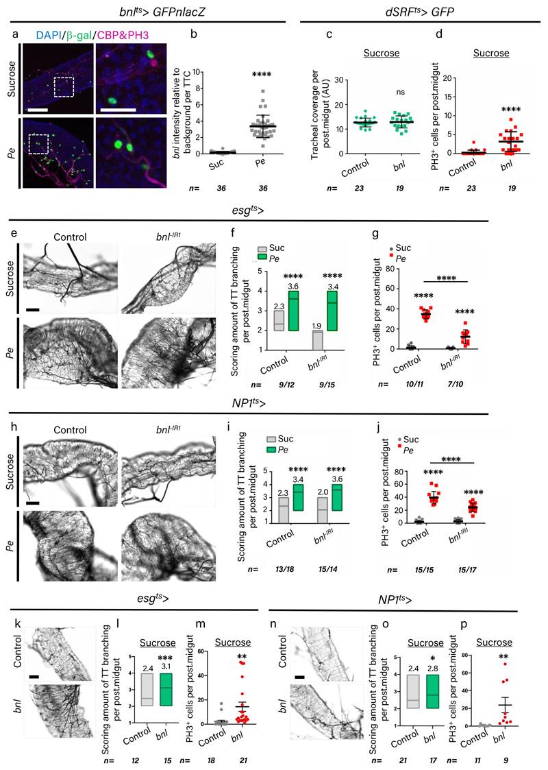 https://cdn.ncbi.nlm.nih.gov/pmc/blobs/9b9f/7610788/8ac7871ceaa8/EMS121498-f012.jpg