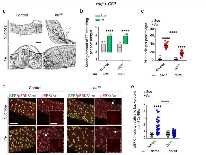 https://cdn.ncbi.nlm.nih.gov/pmc/blobs/9b9f/7610788/cba4fead72fd/EMS121498-f013.jpg