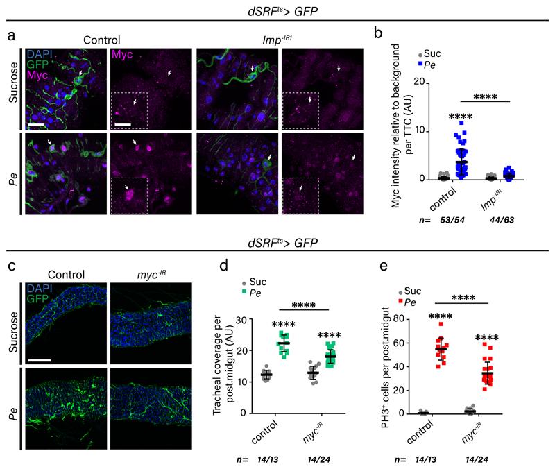 https://cdn.ncbi.nlm.nih.gov/pmc/blobs/9b9f/7610788/e4a68bb9aa38/EMS121498-f006.jpg