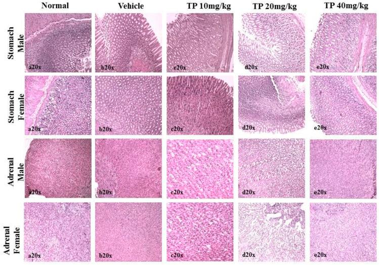 https://cdn.ncbi.nlm.nih.gov/pmc/blobs/9b9f/9037038/389ec29227c1/fbioe-10-849441-g014.jpg