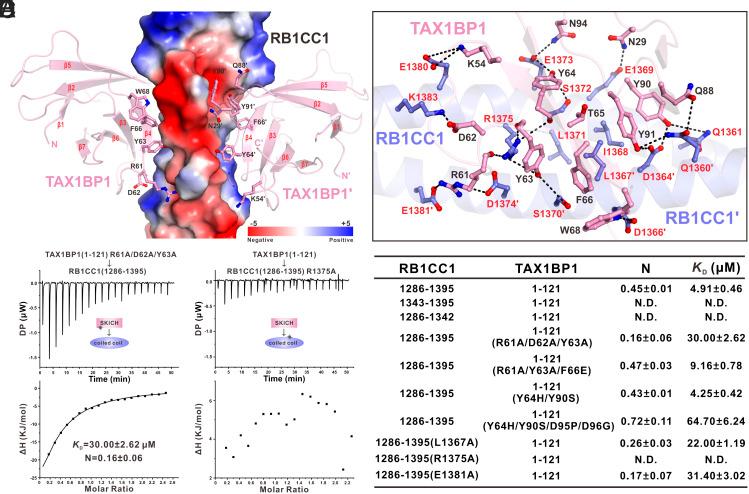 https://cdn.ncbi.nlm.nih.gov/pmc/blobs/9ba0/10945755/39ce7c7c7fd6/pnas.2315550121fig02.jpg