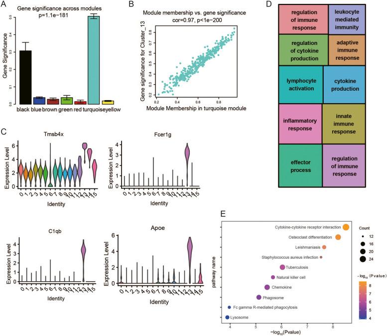 https://cdn.ncbi.nlm.nih.gov/pmc/blobs/9ba0/11523653/04e639df87cc/12920_2024_1974_Fig3_HTML.jpg
