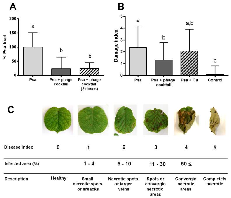 https://cdn.ncbi.nlm.nih.gov/pmc/blobs/9ba0/7409275/ed188e12adff/microorganisms-08-00974-g005.jpg