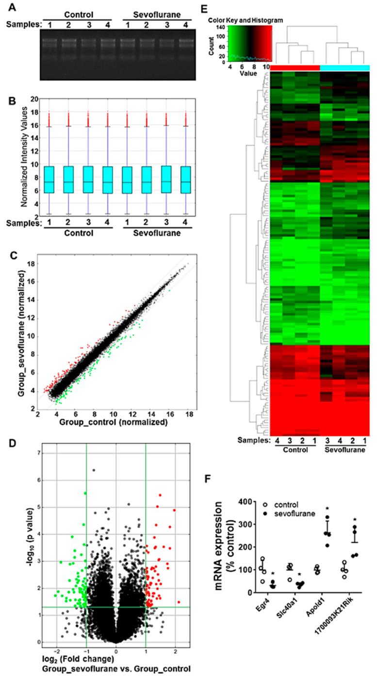 https://cdn.ncbi.nlm.nih.gov/pmc/blobs/9ba0/7869012/1c5d1b3513bb/ijms-22-01389-g002.jpg